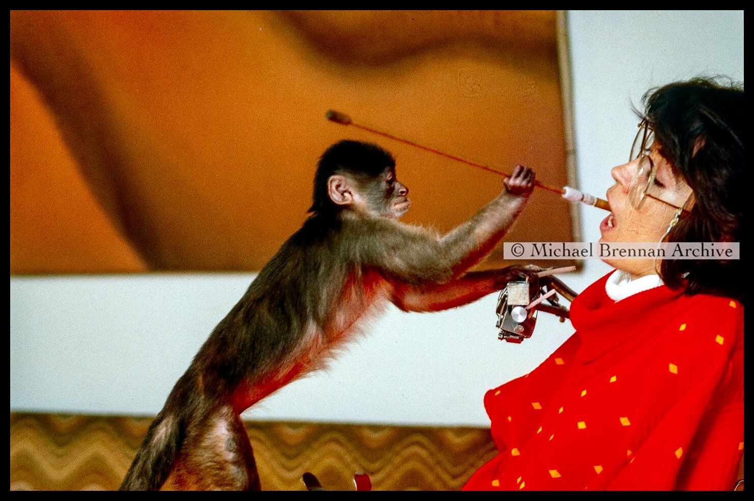 Susan Shaw and Helper Monkey — New York City · Jan 1997