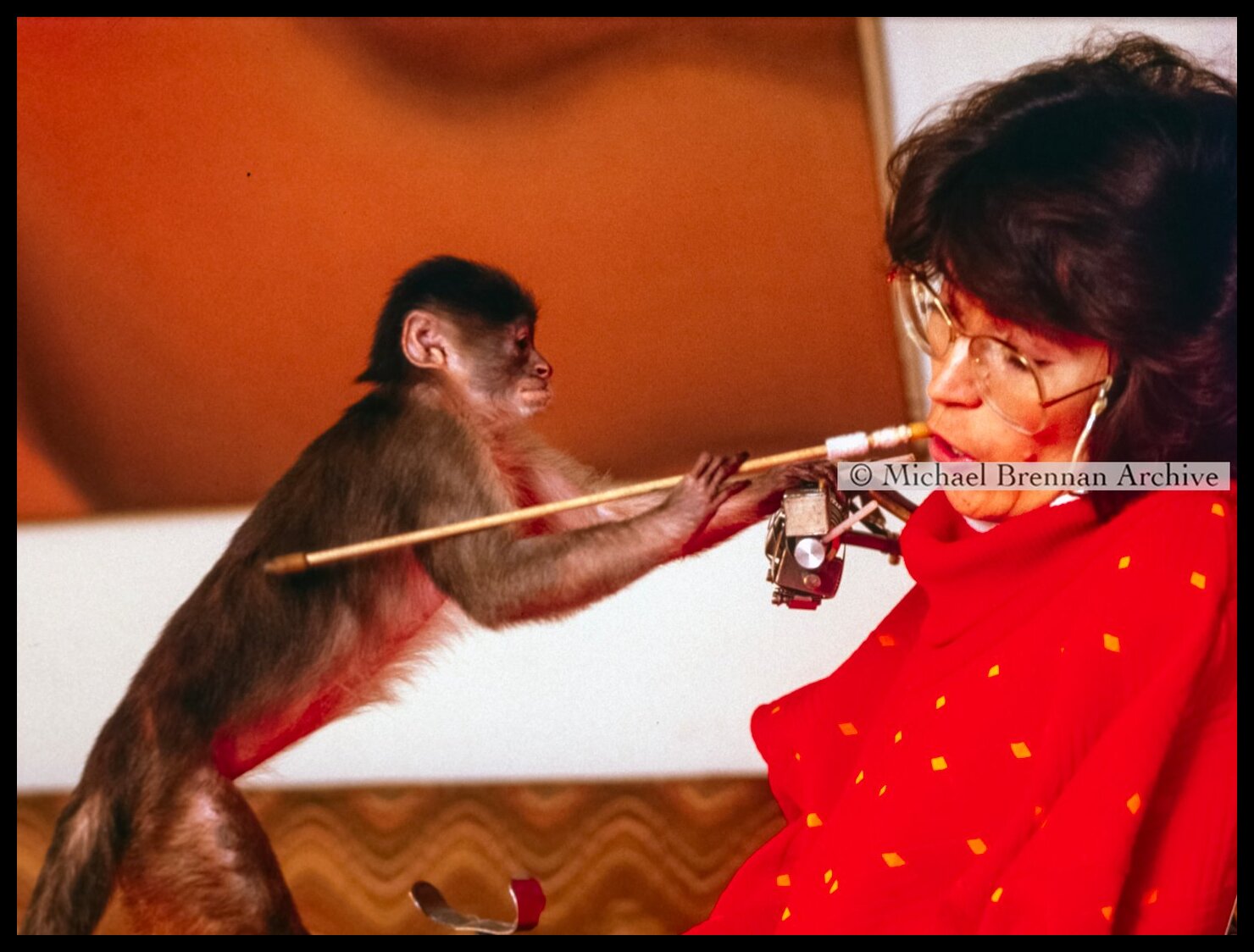 Susan Shaw and Helper Monkey — New York City · Jan 1997